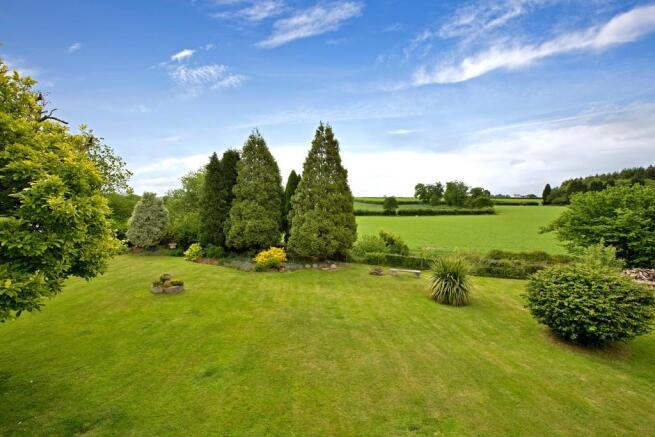 Garden and view