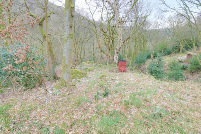 Woodland