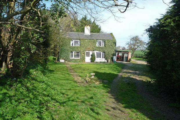 Front Garden & House