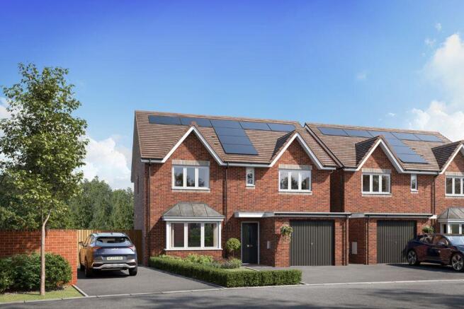 The bingham CGI