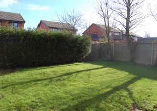 Garden 1