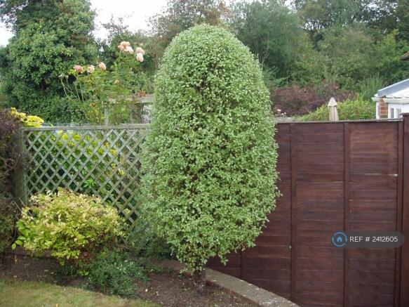 Feature Of Back Garden