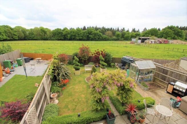 Rear Garden (Elevated)