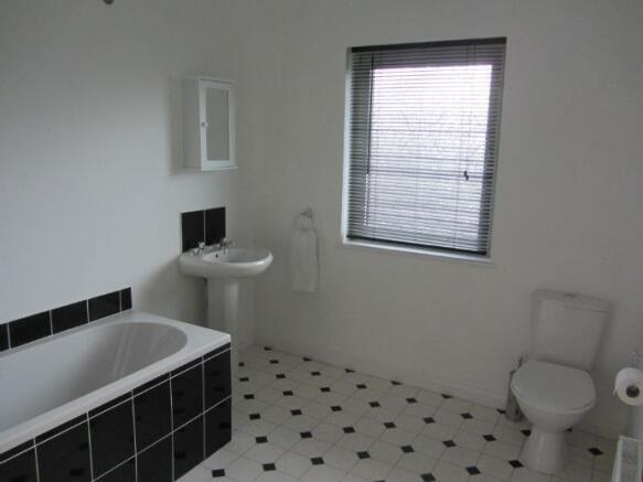 Picture 4