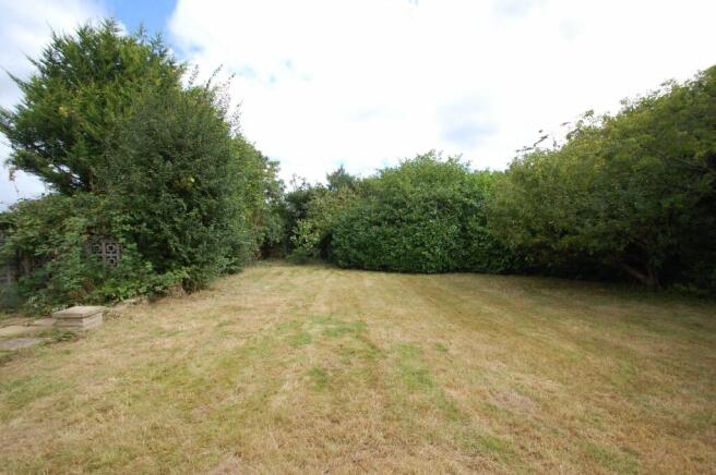Rear Garden 2