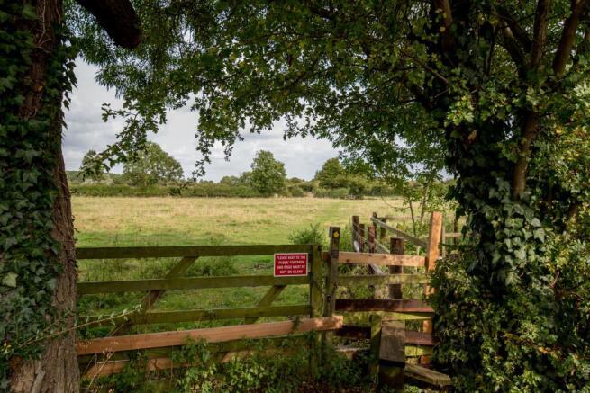 Local Walk