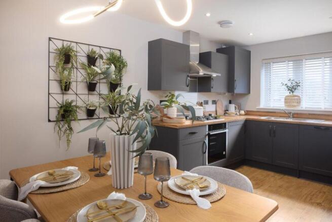 The Hatfield photography