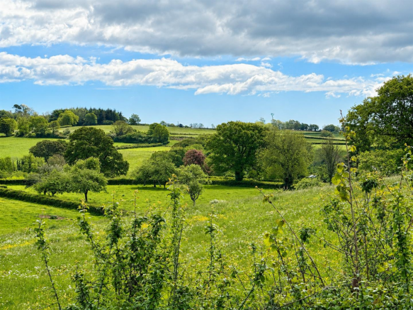 Views Across Adjacent Fields (3).png