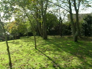 Communal grounds