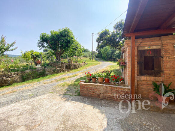 casale antonella -12