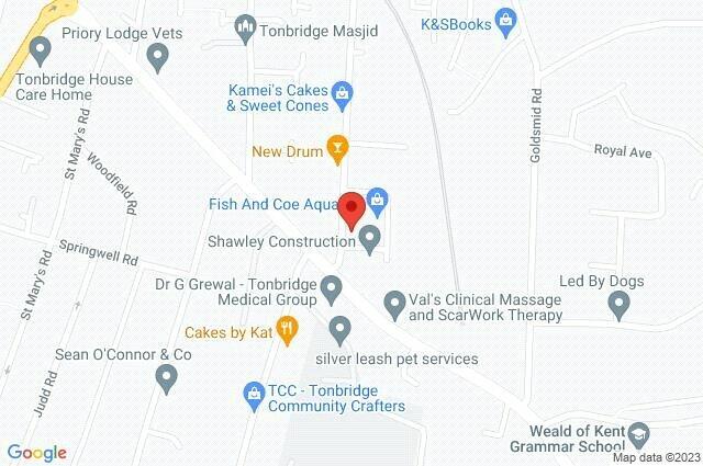 Google Maps Image