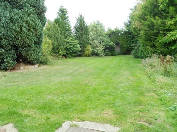 Rear garden