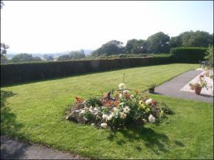 Garden And View