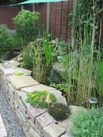 Pond