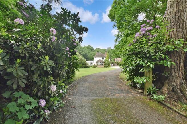 Driveway/Parking