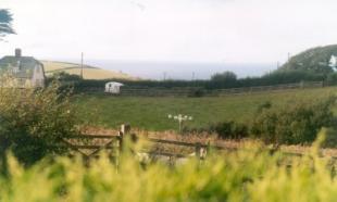 Grounds