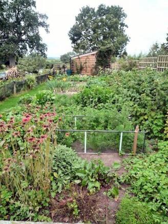 Veg Garden