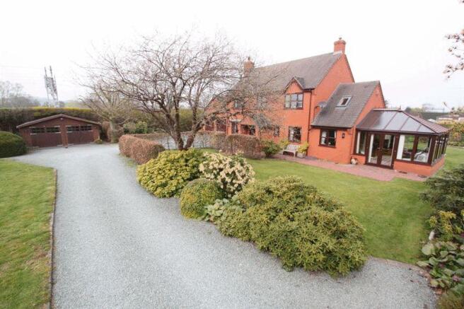 front garden 3