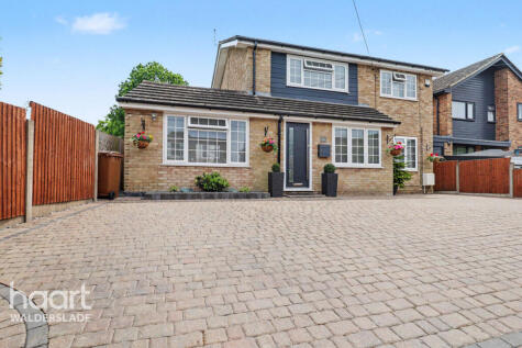 Chestnut Avenue, Chatham