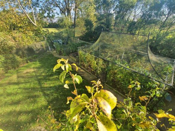 Garden.1.jpg