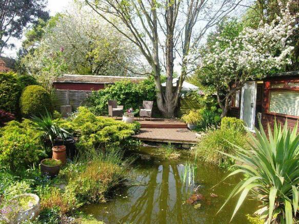 pond