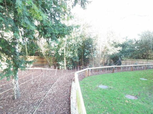 Wooded Area