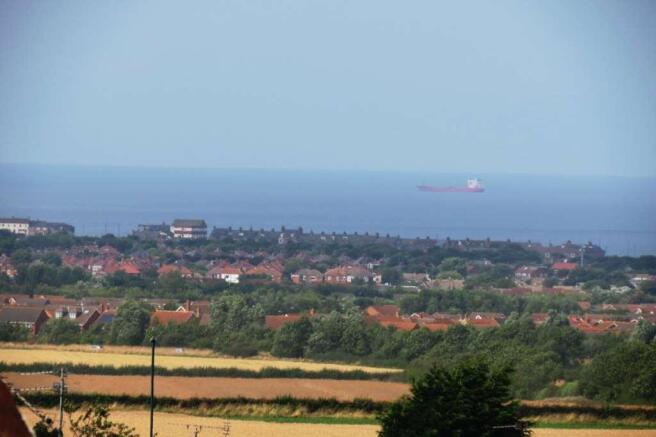 51052_20000088_IMG_0