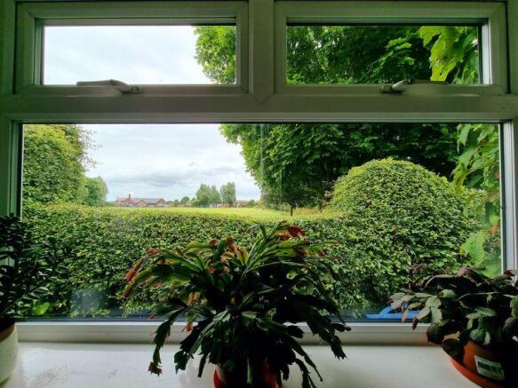 View from the ...