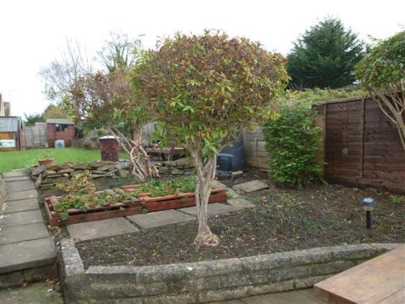 Rear: