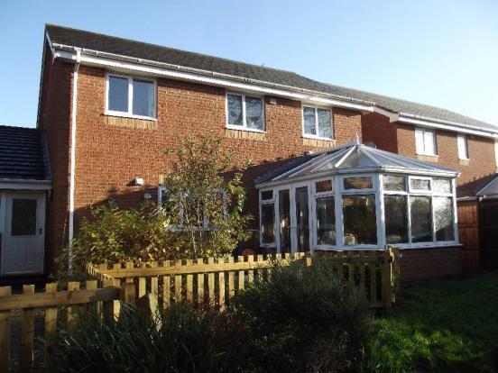 Rear Elevation