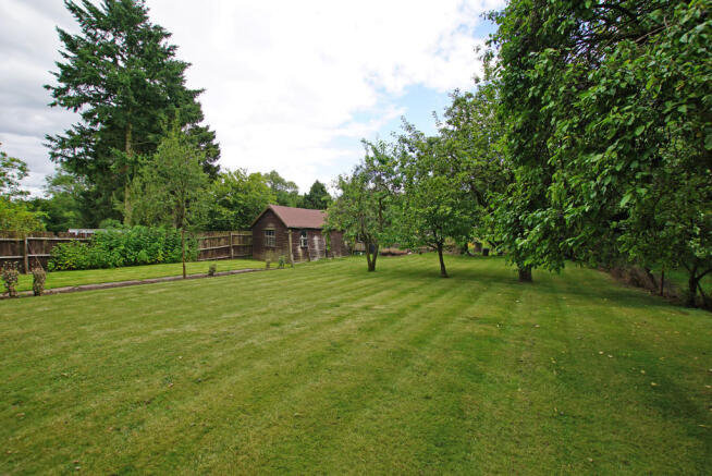 Orchard