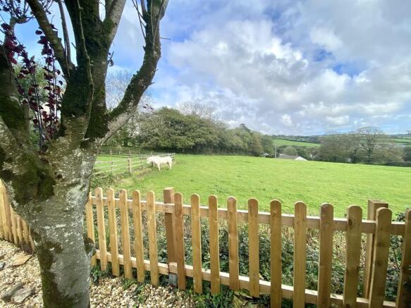 Countryside Views