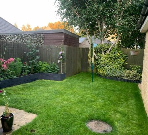 Summer Garden Shot