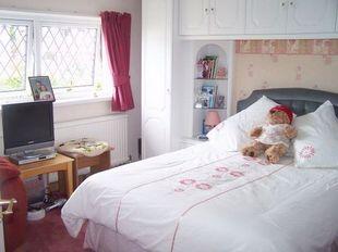Picture 7