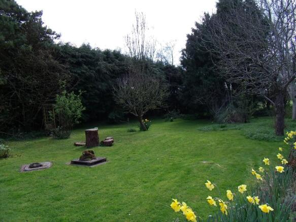 Photo 22