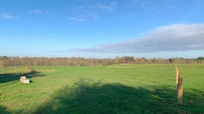 Tring Paddock