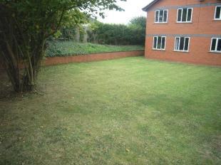 Communal Garden