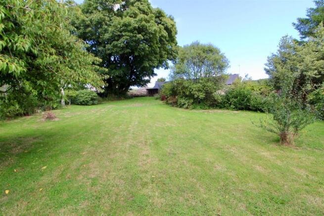Garden 4.jpg