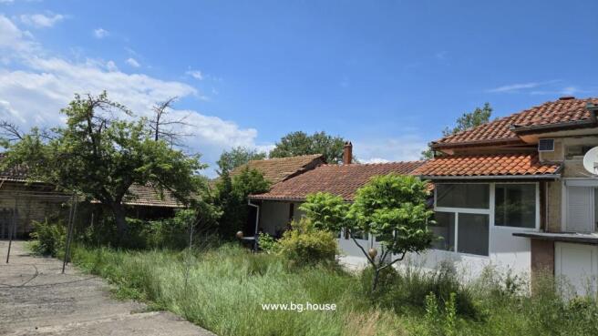 View of garden with tall grass and trees alongside a concrete path next to the Bulgarian house.