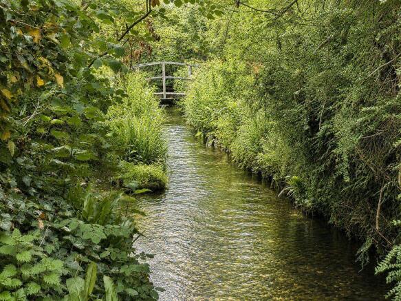 View of Brook