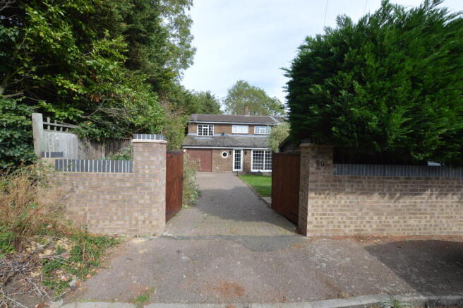 Rear Aspect