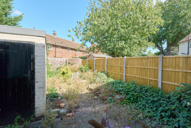 P1506797 T202508042024.jpg