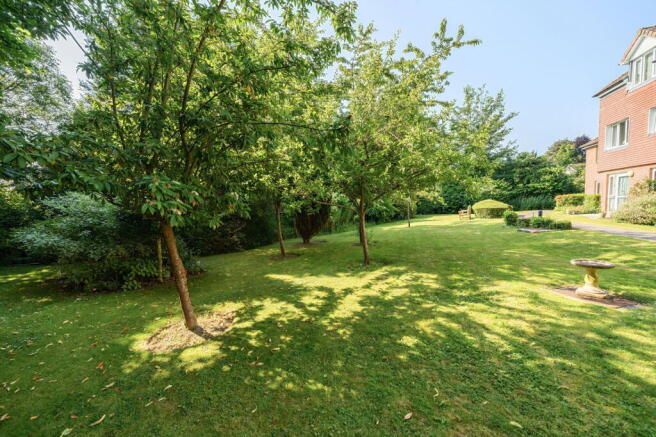 Photo 8