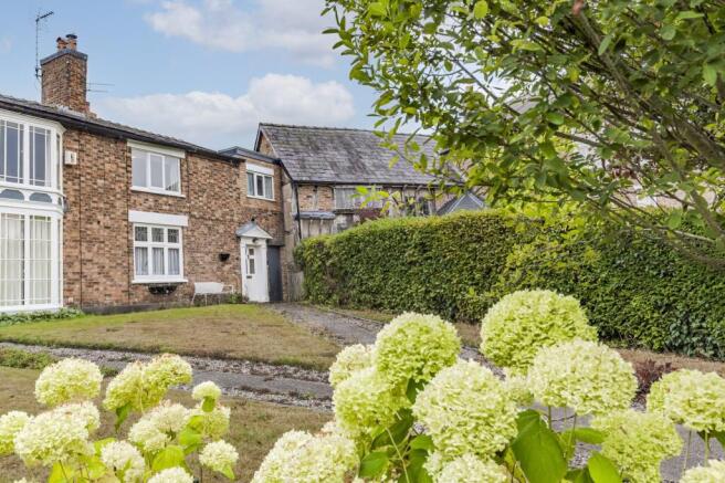 151WelshRow-2