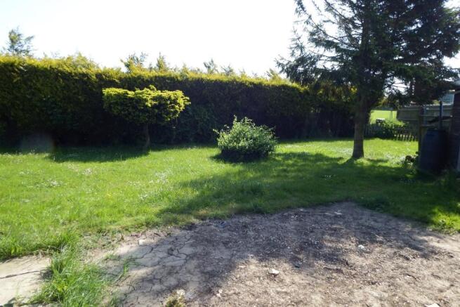 Rear garden 2