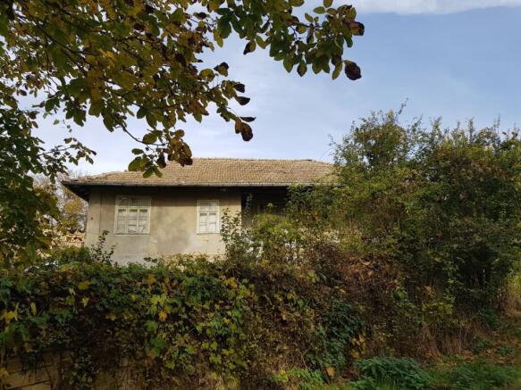 Side elevation of the house with multiple windows and dense greenery in front