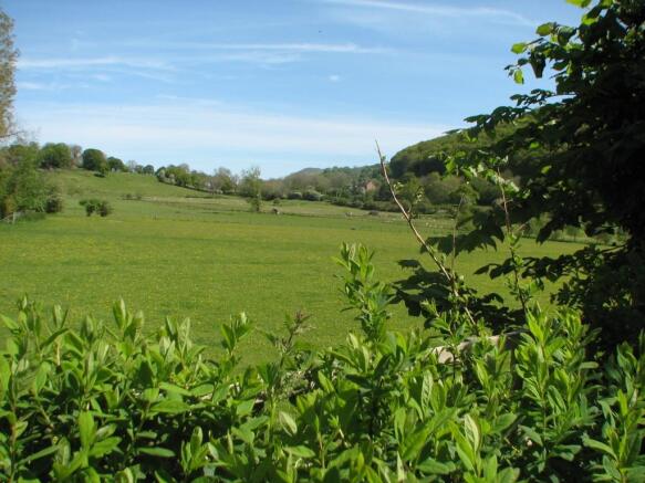 View from Garden
