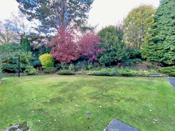 Communal Garden