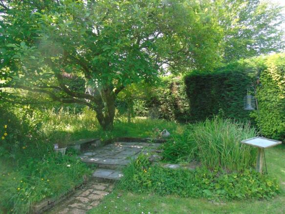 Wild Garden