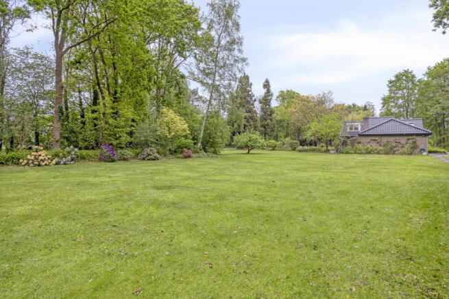Wouwbaan 245 4631 RT HOOGERHEIDE image 2
